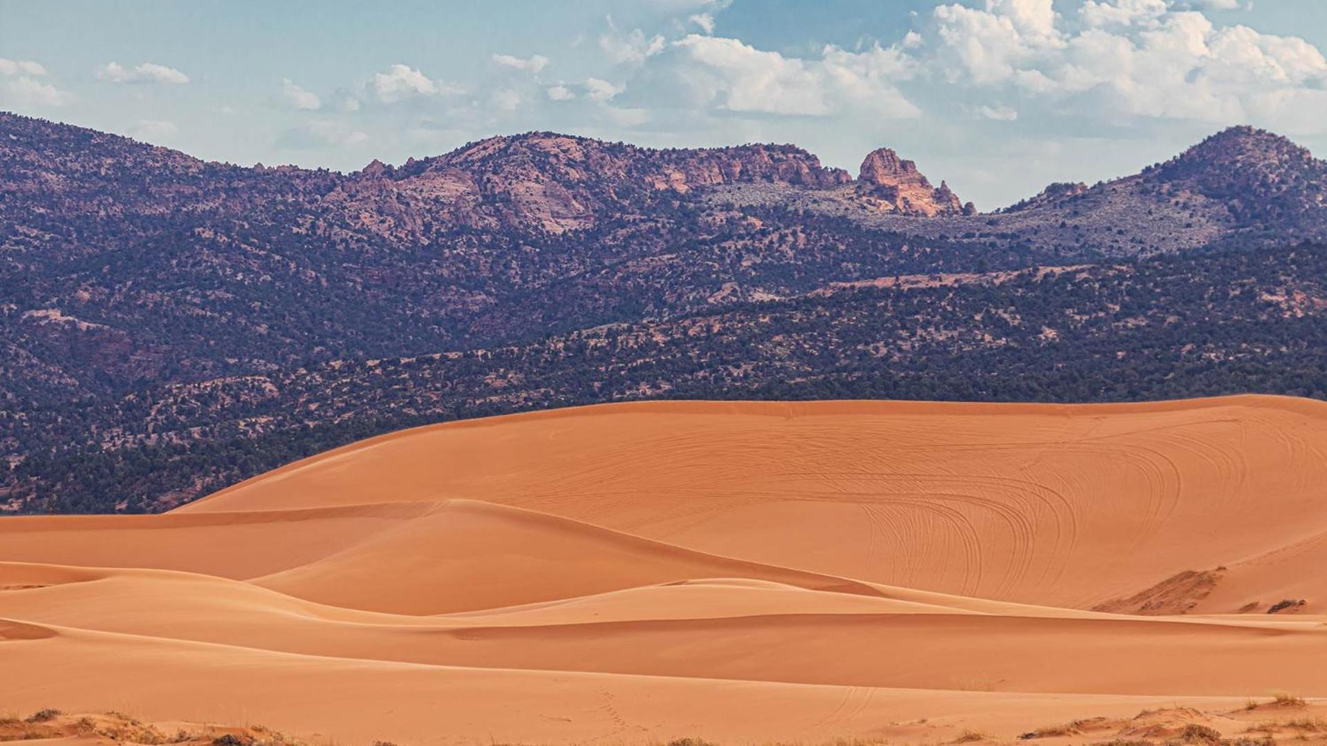 Southern Utah Hidden Gem Near Zion National Park Orderville Bagian luar foto